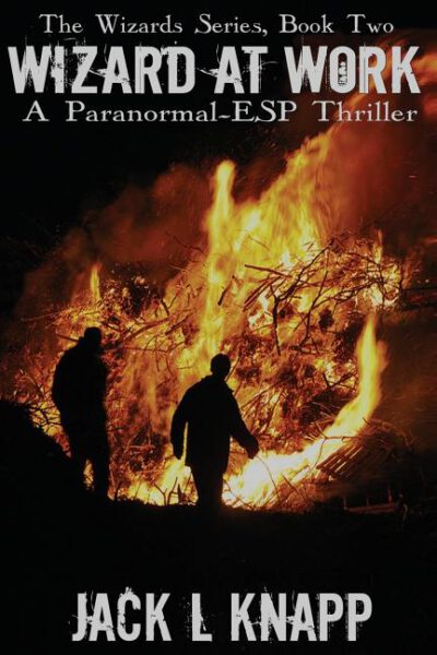 Cover image for Wizard at Work: A Paranormal Thriller