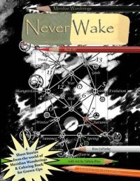Cover image for Never Wake