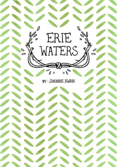 Cover image for Erie Waters