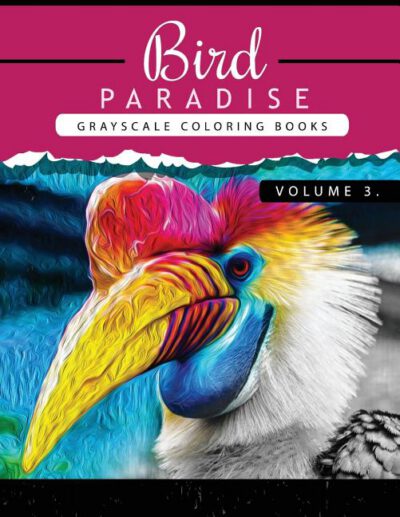 Cover image for Bird Paradise Volume 3: Bird Grayscale coloring books for adults Relaxation Art Therapy for Busy People (Adult Coloring Books Series, grayscal