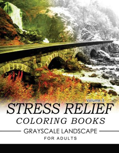 Cover image for Stress Relief Coloring Books GRAYSCALE Landscape for Adults Volume 3