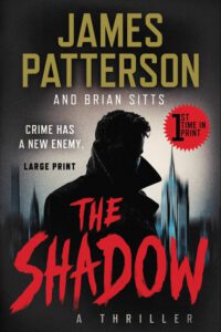 Cover image for The Shadow