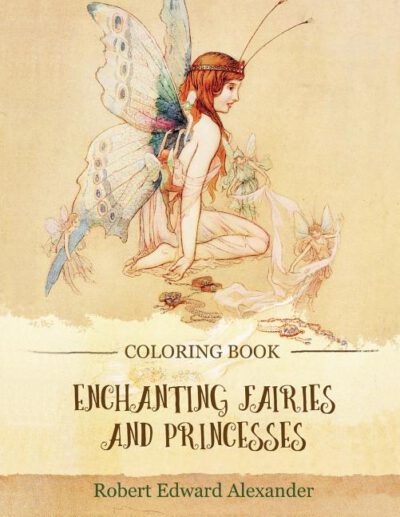 Cover image for Enchanting Fairies and Princesses