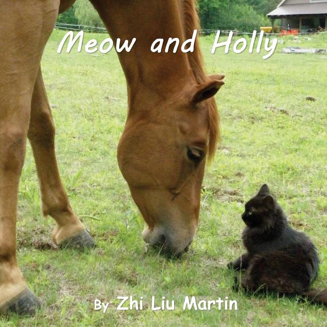 Cover image for Meow and Holly