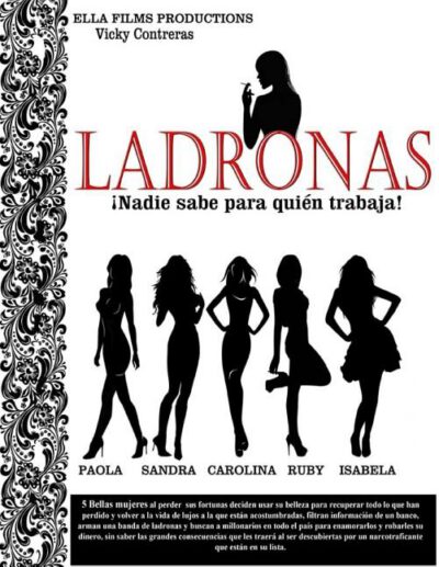 Cover image for Ladronas: Nadie sabe para quien trabaja.