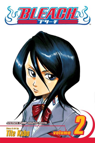 Cover image for Bleach, Vol. 2