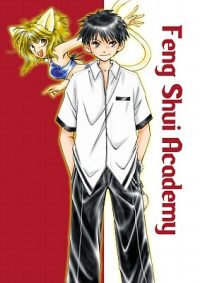 Cover image for Feng Shui Academy