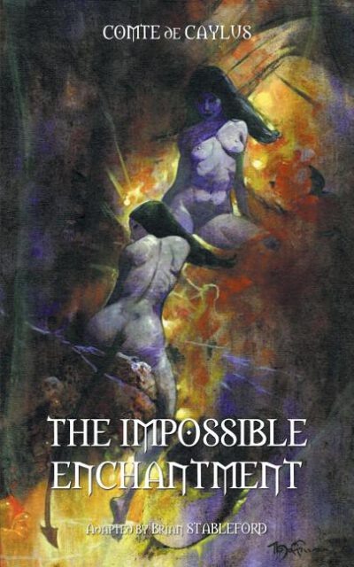 Cover image for The Impossible Enchantment