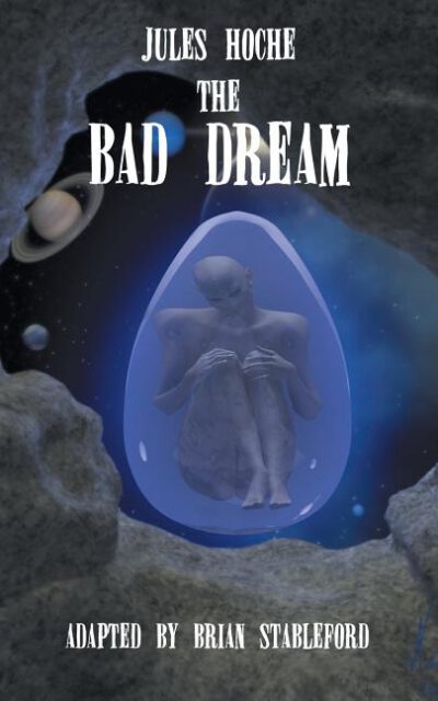 Cover image for The Bad Dream