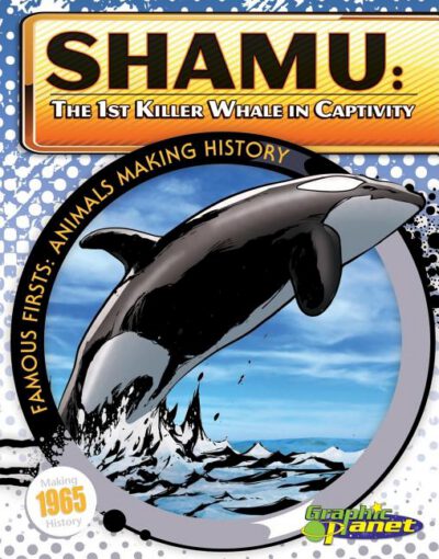 Cover image for Shamu: 1st Killer Whale in Captivity: 1st Killer Whale in Captivity