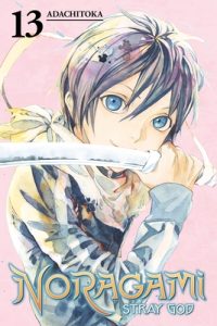 Cover image for Noragami: Stray God, Volume 13