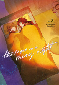 Cover image for The Moon on a Rainy Night 3