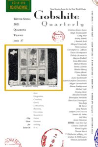 Cover image for Gobshite Quarterly 37/38, Quadriple Trouble: Winter-Spring-Summer-Fall 2021
