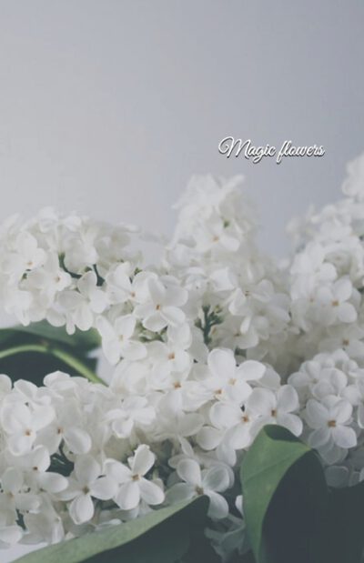 Cover image for Magic flowers