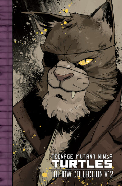 Cover image for Teenage Mutant Ninja Turtles: The IDW Collection Volume 12