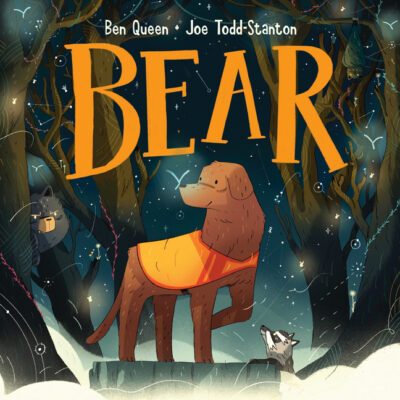 Cover image for Bear