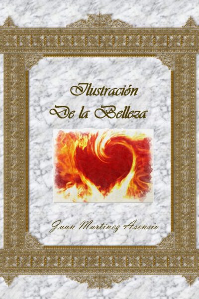 Cover image for Ilustración de la Belleza
