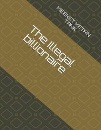 Cover image for The Illegal billionaire