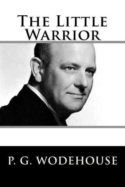 Cover image for The Little Warrior