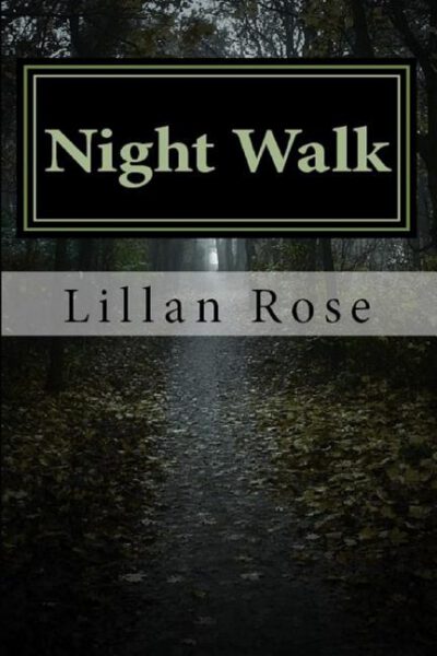 Cover image for Night Walk