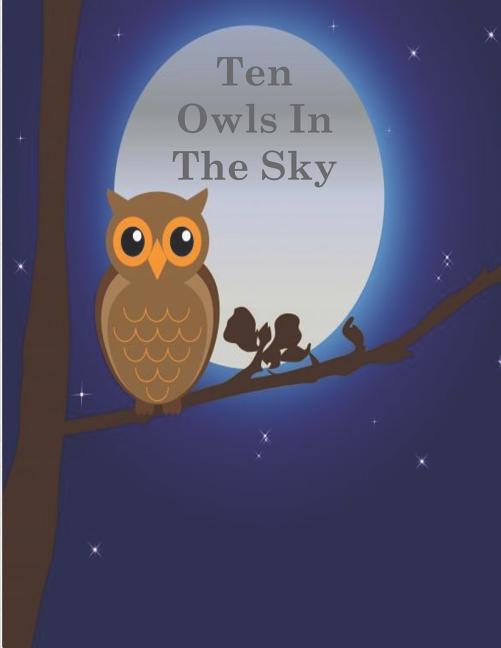 Cover image for Ten Owls In The Sky