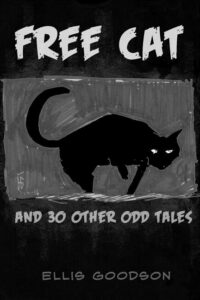 Cover image for Free Cat: And 30 Other Odd Tales