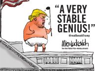 Cover image for A Very Stable Genius: @Realdonaldtrump
