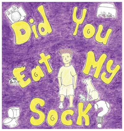Cover image for Did You Eat My Sock?