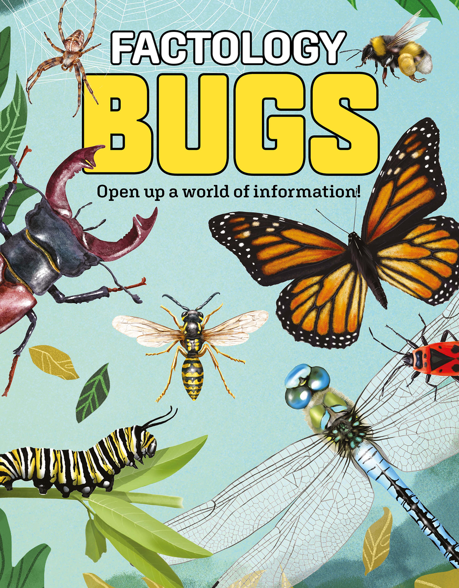 Cover image for Factology: Bugs: Open Up a World of Information!