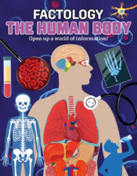 Cover image for Factology: The Human Body: Open Up a World of Information!