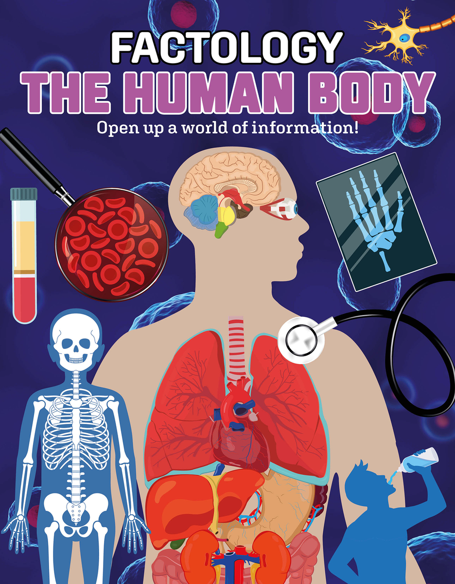 Cover image for Factology: The Human Body: Open Up a World of Information!