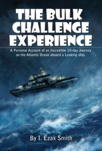 Cover image for The Bulk Challenge Experience