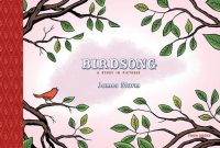 Cover image for Birdsong: A Story in Pictures: Toon Level 1