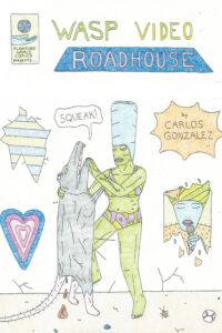 Cover image for Wasp Video Roadhouse