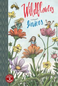 Cover image for Wildflowers: Toon Level 2
