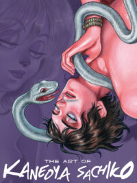 Cover image for The Art of Kaneoya Sachiko