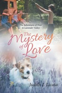 Cover image for The Mystery of Love