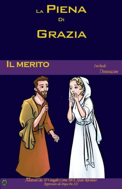 Cover image for Il Merito