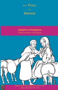 Cover image for Joseph's Passion