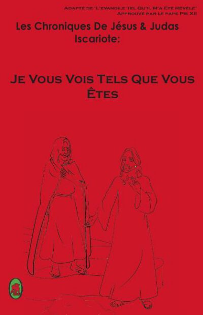 Cover image for Je Vous Vois Tels Que Vous Êtes