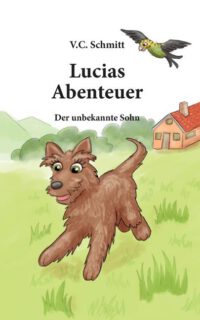 Cover image for Lucias Abenteuer: Der Unbekannte Sohn