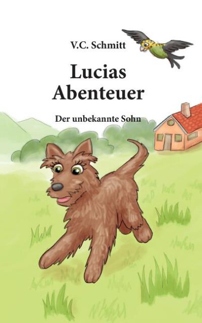 Cover image for Lucias Abenteuer: Der Unbekannte Sohn