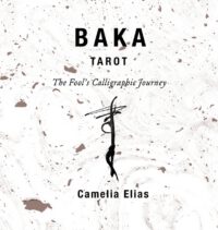 Cover image for Baka Tarot: The Fool's Calligraphic Journey