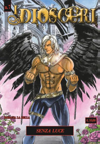 Cover image for I Dioscuri N. 7 - Senza luce