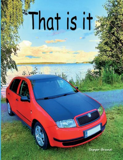 Cover image for That is it