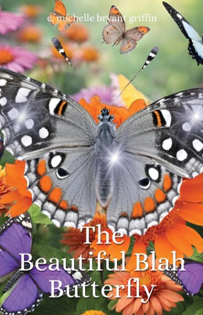 Cover image for The Beautiful Blah Butterfly