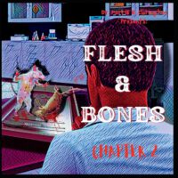 Cover image for Flesh & Bones: Chapter 2
