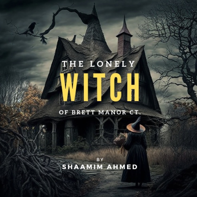 Cover image for The Lonely Witch of Brett Manor Ct.