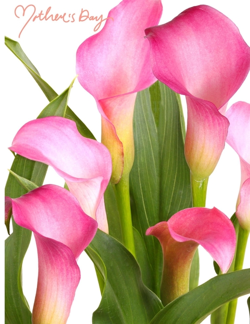 Cover image for Happy Mother's Day