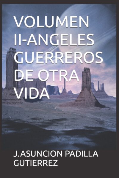 Cover image for Volumen II-Angeles Guerreros de Otra Vida